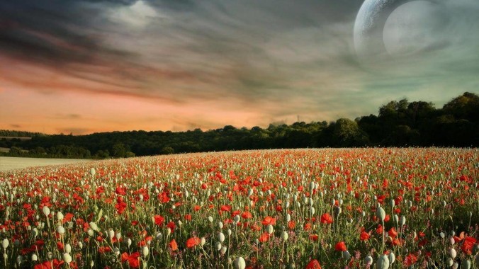 能分享一下你写过的rust项目吗？